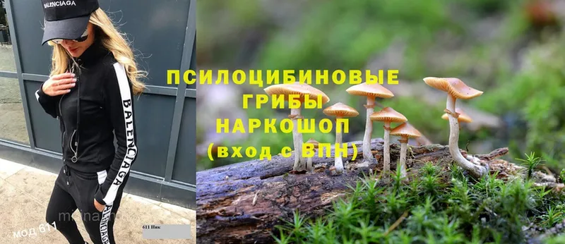 Галлюциногенные грибы Magic Shrooms  где продают наркотики  Армавир 