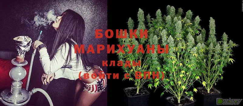 Каннабис White Widow  Армавир 